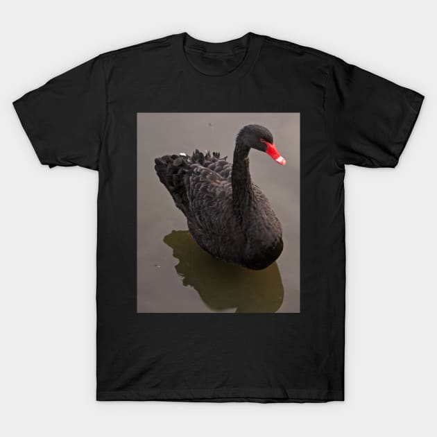 Black Swan T-Shirt by RedHillDigital